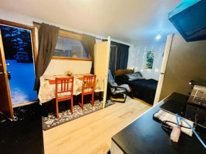 Private Basement w Street Level Entrance, View Red Deer River ,Breakfast and Laundry Included 65 CAD